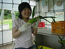 研修生の写真　5