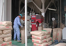 写真：出荷の様子
