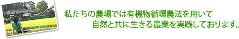 私たちの農場では有機物循環農法を用いて、自然と共に生きる農業を実践しております。