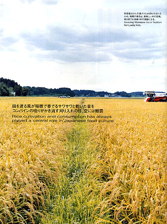 紙面の写真1